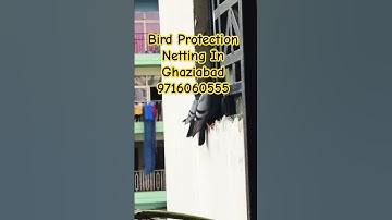 Bird Protection Netting In Ghaziabad । Bird Protection Net for Balcony In Ghaziabad 9716060555b