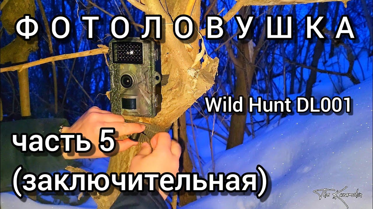 Фотоловушка wild hunt. Инструкция на фотоловушку fm2-ht 800. Фотоловушка wild hunt. Фотоловушка wild hunt dl001. Model pr 300 фотоловушка.