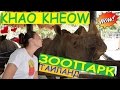 ЗООПАРК КХАО-КХЕО В ТАЙЛАНДЕ (ПАТТАЙЯ): ОСТОРОЖНО, ОЛЕНИ!