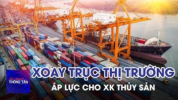 Xoay trục thị trường để giảm áp lực cho xuất khẩu thủy sản vào Hoa Kỳ