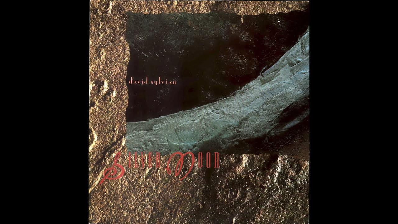 Агутина серебряной луне. David Sylvian gone to Earth 1986. Sylvian / Fripp* – Damage. David Sylvian & Robert Fripp - Damage. Silver Moon Jema.