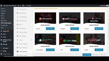 Theme options - DWT Directory Wordpress Theme