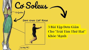 Bạn CÓ "Trái Tim Thứ Hai" Ở Bắp Chân! Kích Hoạt Nó Cực Dễ Với 3 Bài Tập Này