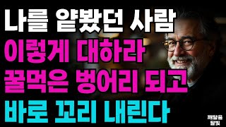 나를 얕봤던 사람 이렇게 대하라 꿀먹은 벙어리 되고 바로 꼬리 내린다ㅣ지혜롭고 현명한 인간관계 조언ㅣ인생ㅣ명언ㅣ마음ㅣ행복ㅣ정약용