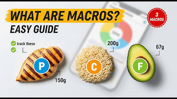What Are Macros? How to Count Macros for Weight Loss (Beginner