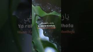 Ya Robbi Bil Mustofa yarobbibilmusthofa sholawat aikhodijah