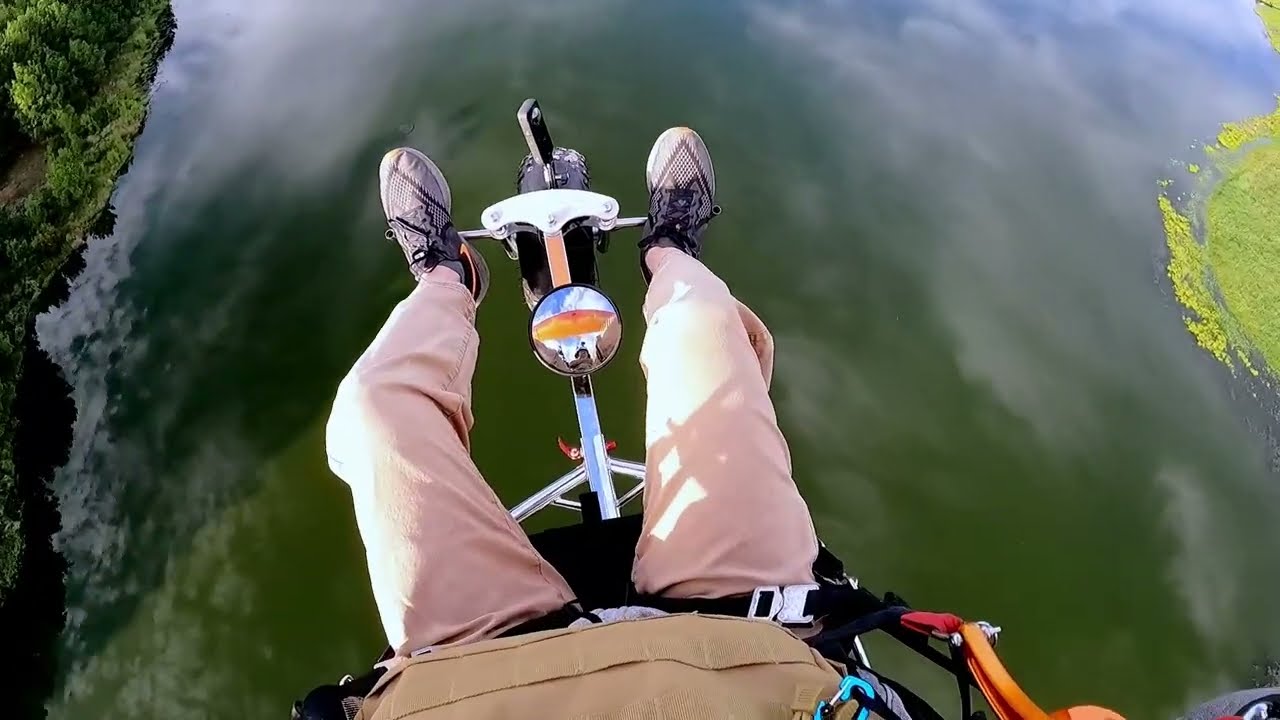 Turtle in Lake Holcomb (Big Un)