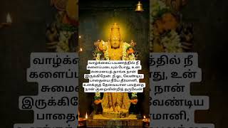 ஓட்டம் உன்னுடையது, துணை என்னுடையது #tamil #murugan #shortsfeed #muruganvakku #motivation