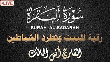 سورة البقرة كاملة لتحصين البيت وطرد الشياطين بصوت القارئ أنس المالك