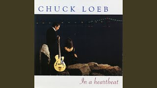 Video thumbnail of "Chuck Loeb - Rhythm Ace / Funky Stuff"