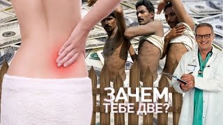 ЧТО БУДЕТ ЕСЛИ ПРОДАТЬ ПОЧКУ? ЧТО БУДЕТ ЕСЛИ ПРОДАТЬ ПОЧКУ?