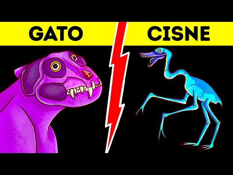 Vídeo: Os dinossauros devem ser capitalizados?