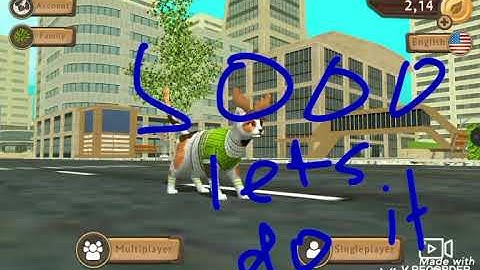 Cat sim:noob vs. Pro