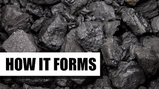 How Coal is Formed