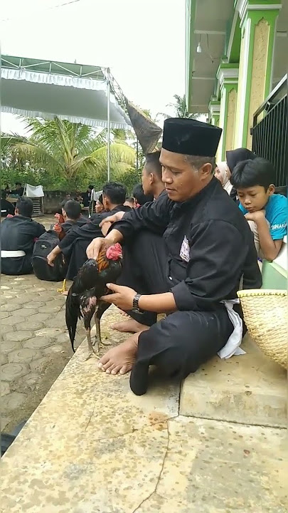 ayamnya kenapa ya #pencaksilat #psht #shterate #punjermadiun #srikandisilatstorywa #ipsi