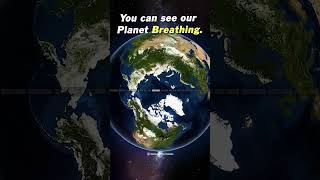 Breathing Earth - Earths Seasons Time Lapse From Space