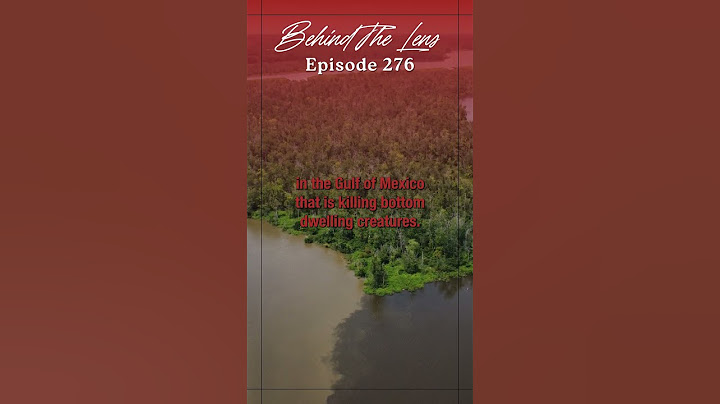 Behind The Lens episode 276: ‘Breathing poison air’ 01