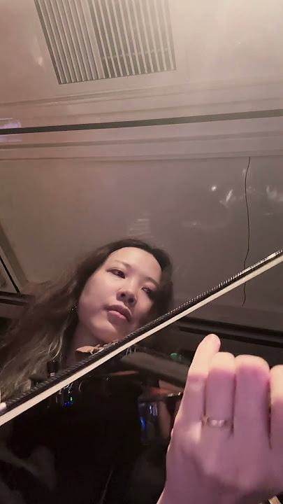 Abba’s Dancing Queen & Mamma Mai🤩 | Cantini Violin🎻with Boss GM-800 & Sonicake pocket master