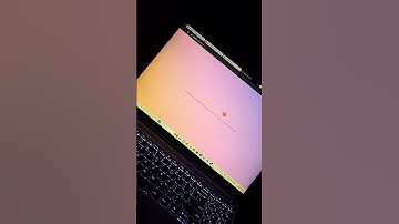 Heyy ! Happy Holi programmer