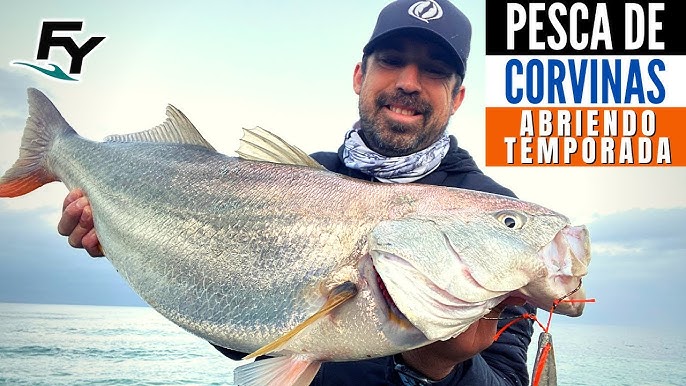 PESCA de LENGUADOS y CORVINAS en CHILE [JORNADA DOBLE] 