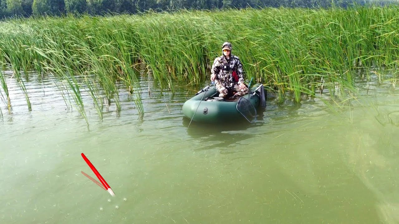 У ОСТРОВА...ПОПЛАВОК НЕ УСПЕЛ ВСТАТЬ, УДОЧКА В ДУГУ! КРУПНЫЙ У ЛОДКИ! Рыбалка на карпа и карася 2025