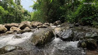 Download Lagu Rustgevende ochtendgeluiden in het bos, ontspanning Bos Riviergeluiden Rotsen oversteken MP3