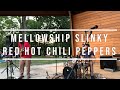 Mellowship slinky in b major rhcp coverstationary pebbles live at zelienople amphitheater 81220