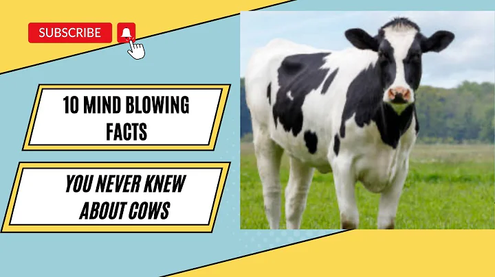 10 Mind Blowing Facts You Never Knew About Cows