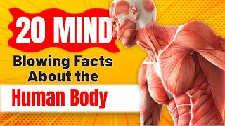 20 Mind Blowing Facts About the Human Body! screenshot 1