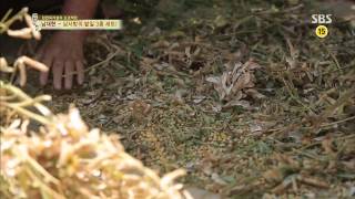 백년손님-자기야 130905 #21(5)