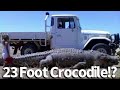 Largest crocodiles in the world