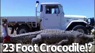 Largest Crocodiles In The World