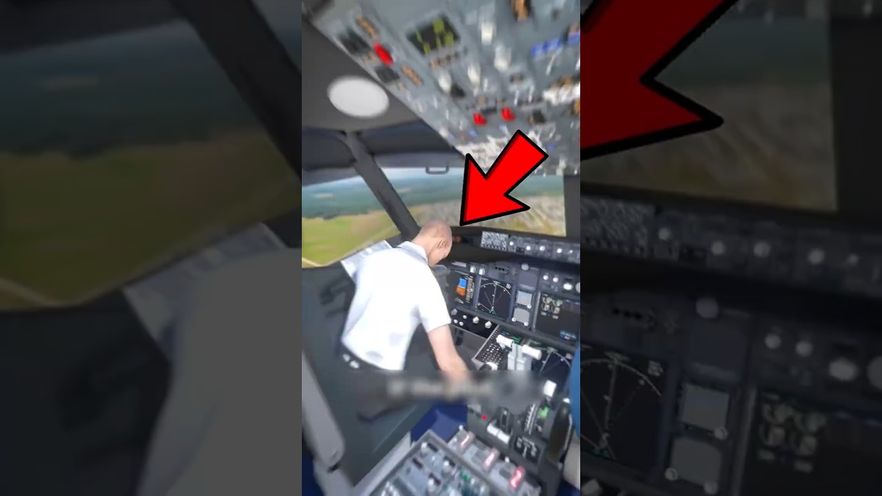 Pilot Passes Out Mid-Flight?! How a Beginner Can Still Land the Plane!