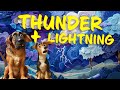Understanding Thunderstorms