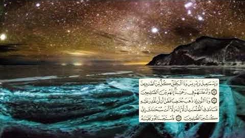 329-page سعد الغامدي - -سورة الأنبياء Les prophètes (Al-Anbiya)-21