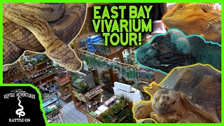 TOURING THE OLDEST AND BIGGEST REPTILE SHOP IN THE COUNTRY! (East Bay Vivarium)