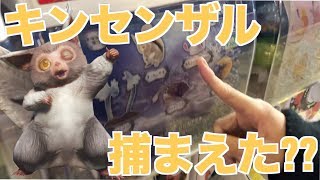 【MHW】5回でコンプなるか!?環境生物図鑑 第二弾ガチャガチャを引いていく！【モンスターハンターワールド 】