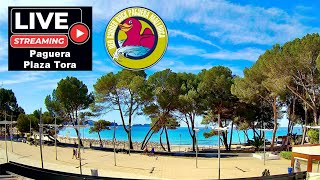 🌞 Live Webcam Paguera Plaça Torà by RED RUBBER DUCK|4K UHD|24/7 Stream #Paguera #Mallorca #Balearics
