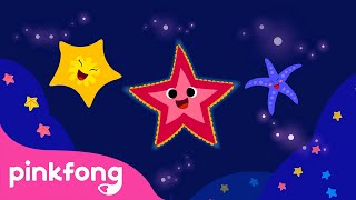 Bintang Laut | Series Binatang Laut | Lagu Anak pendidikan | Pinkfong & Baby Shark