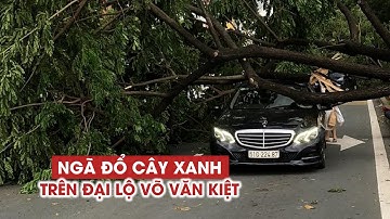 Hàng loạt cây xanh trên đại lộ Võ Văn Kiệt ngã đổ, đè 3 ô tô