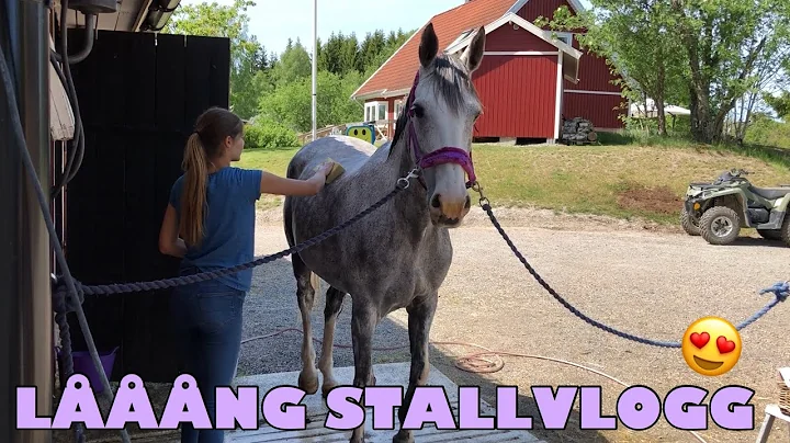 SOM EN LANDSFRJA.....