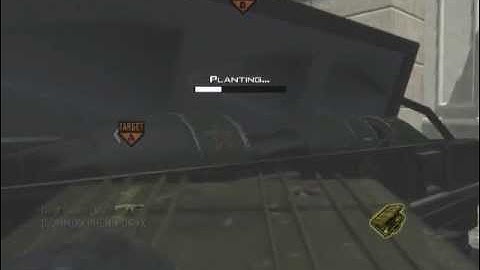 TwS_PIITBULLY - Pm-9