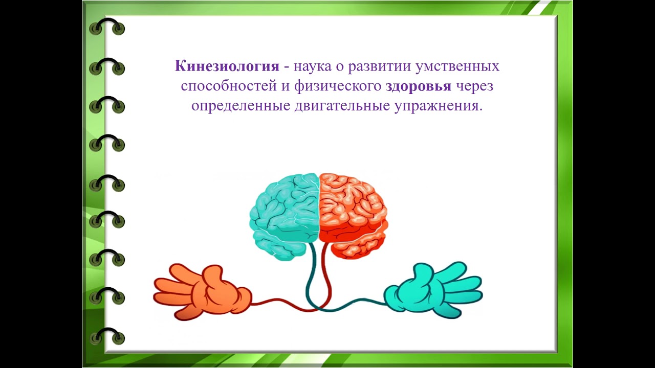 Купить Книгу Васильевой Прикладная Кинезиология