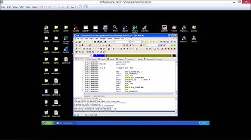 Practical Malware Analysis Chapter 5 Lab Attempt