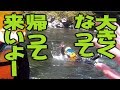 【旅動画】ぼくらは新世界で旅をする Part:4【四国バーガー編】