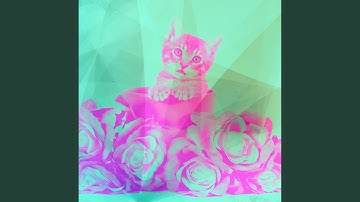 Unique Moods for Cats, Dogs and Babies