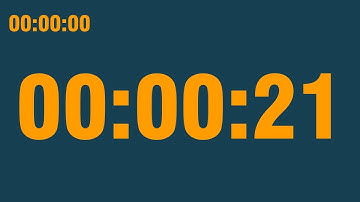 21 second timer (with end alarm, time elapsed and progress bar)