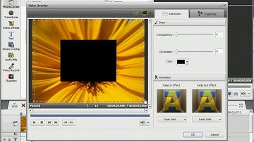 How to Make Your Videos Darker In AVS Video Editor
