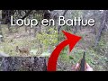 LOUP EN BATTUE (Scène inédite)