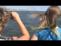 Virginia Aquarium - Sea Adventures - Dolphin Discoveries